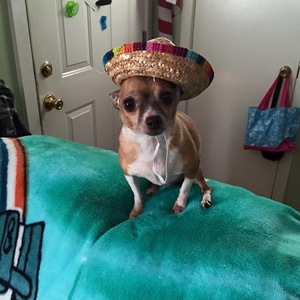 Fundraising Page: Julia Bowman